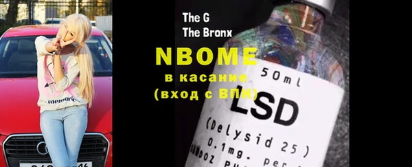 шишки Карпинск
