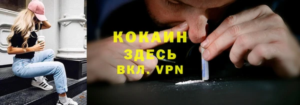 шишки Карпинск
