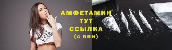 шишки Карпинск