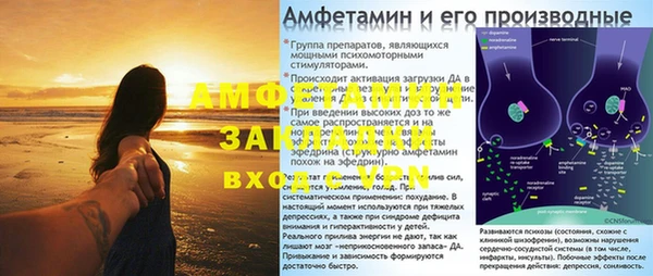 шишки Карпинск