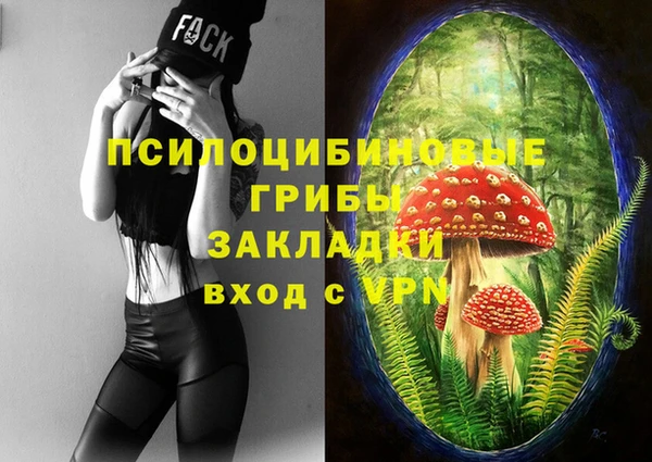 ALPHA-PVP Касимов