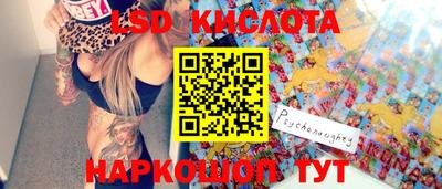 стафф Кандалакша