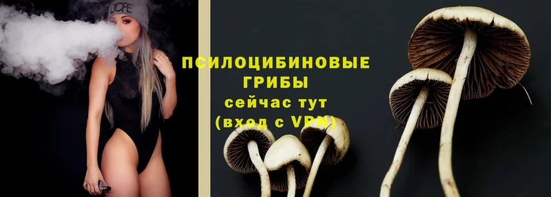 Галлюциногенные грибы MAGIC MUSHROOMS  купить   Раменское 