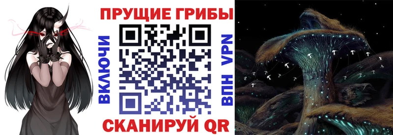 Псилоцибиновые грибы ЛСД  ссылка на мегу рабочий сайт  Раменское 